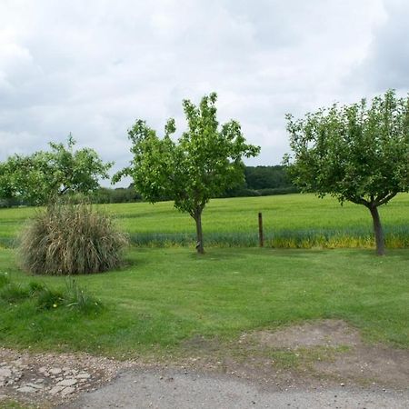 Woodview B Colchester Birch 外观 照片
