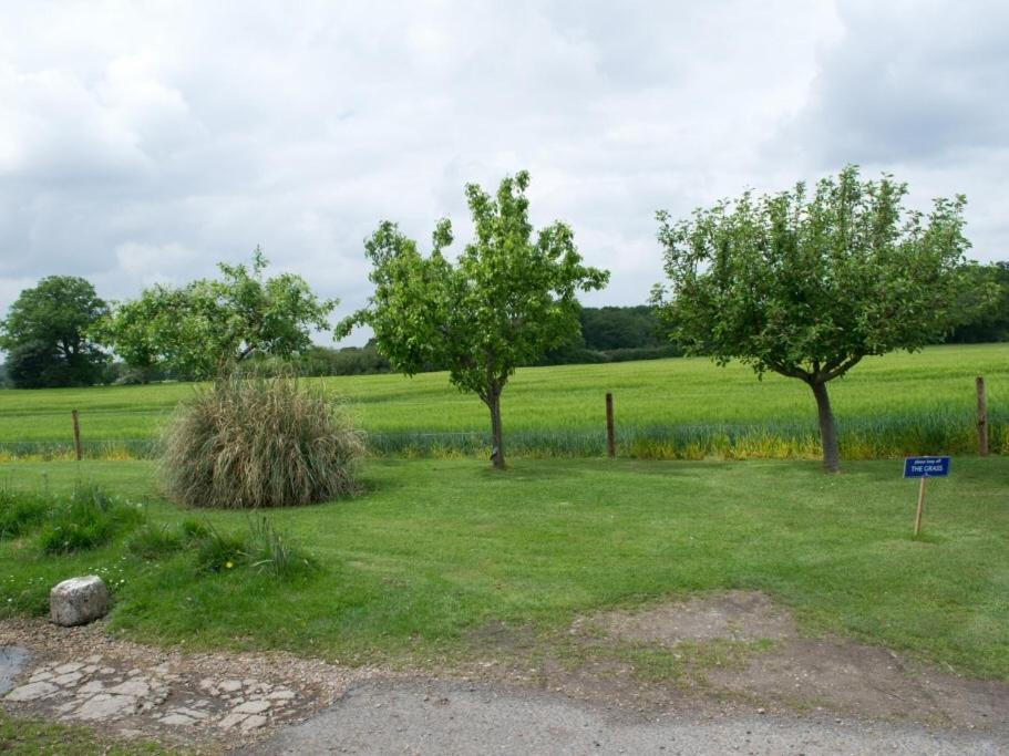 Woodview B Colchester Birch 外观 照片